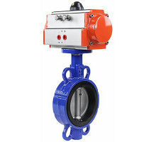 Затвор дисковый поворотный 1332N-2W-Fb-H DN50 PN-16, корпус - чугун G50, диск - AISI 316L, NBR, с пневмоприводом DA-065 двойного действия