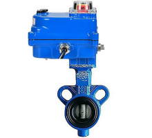 Затвор дисковый поворотный AL-316L-EPDM DN25 PN-16 с электроприводом 003 blue 220В