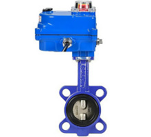 Затвор дисковый поворотный 1332N-2W-Fb-H DN50 PN-16, корпус - чугун G50, диск - AISI 316L, NBR, с электроприводом 003 blue 220В