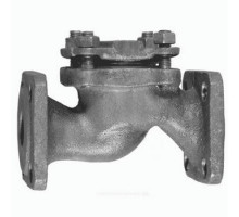 Клапан обратный Луидор 16кч9нж Dn-50 PN-25 чугунный